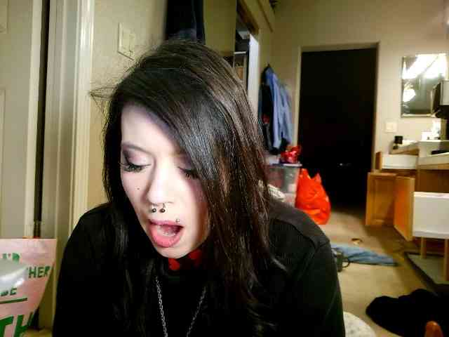 pleasantdinosaurus7537