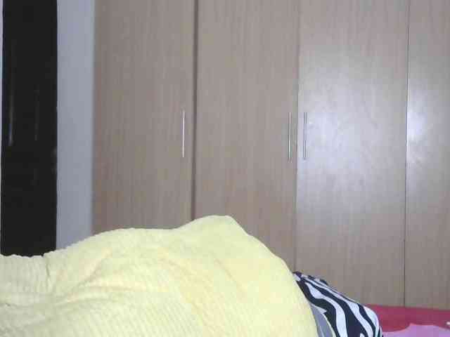 BradBubble webcam