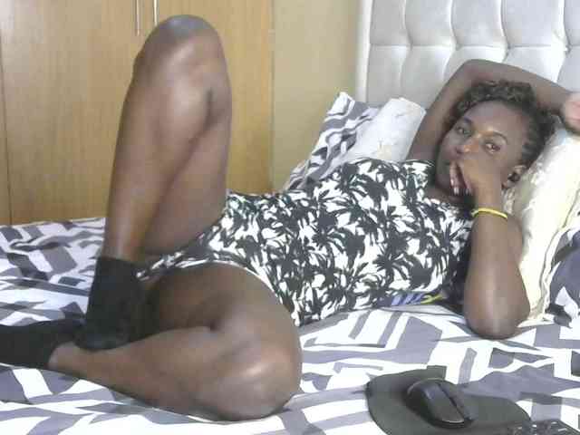 BradBubble webcam