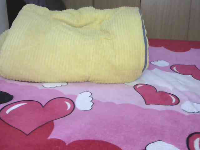 BradBubble webcam