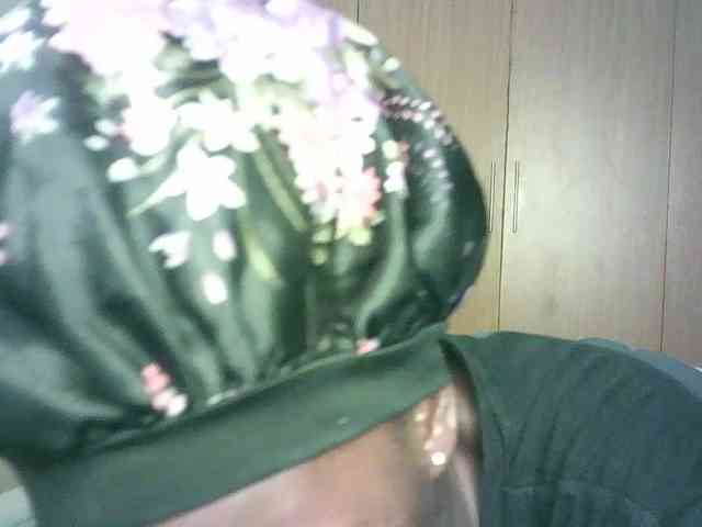 BradBubble webcam