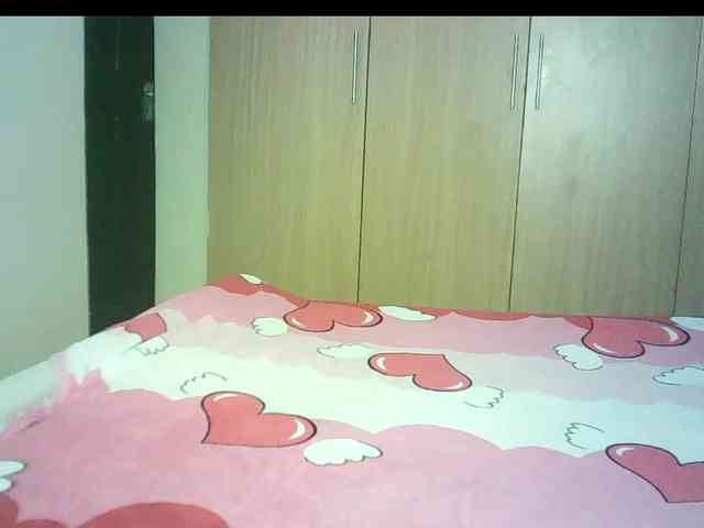 BradBubble webcam
