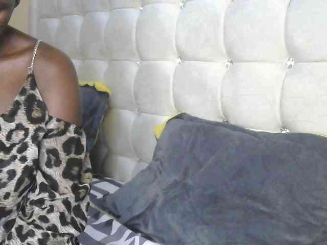 BradBubble webcam
