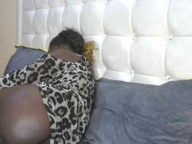 BradBubble webcam