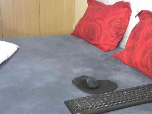 BradBubble webcam