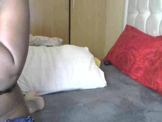 BradBubble webcam