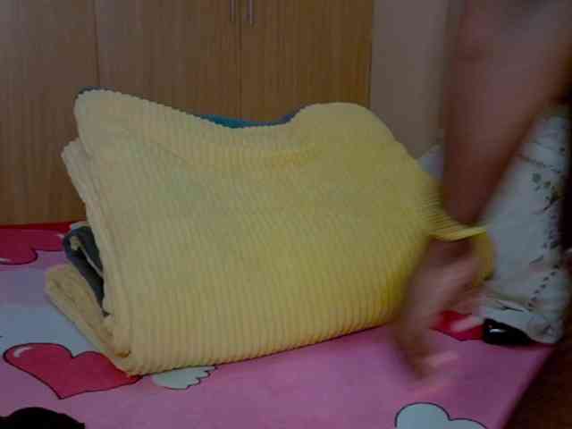 BradBubble webcam