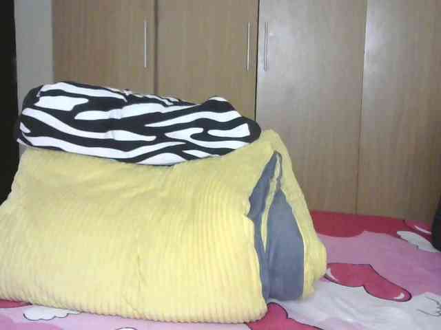 BradBubble webcam