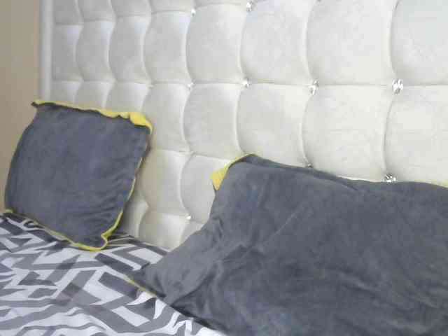 BradBubble webcam
