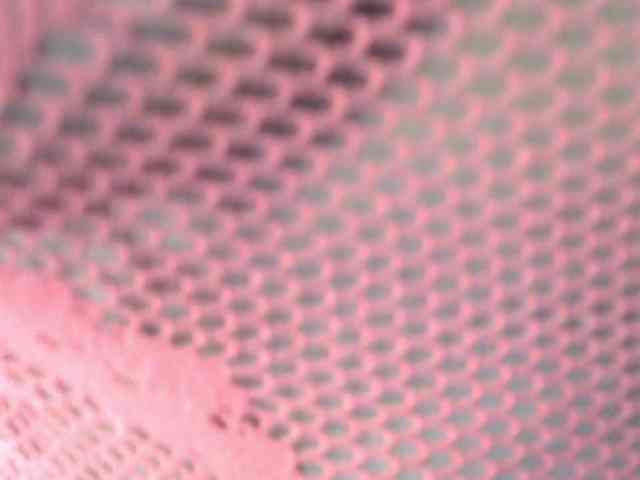 BradBubble webcam