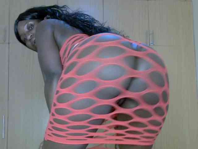 BradBubble webcam