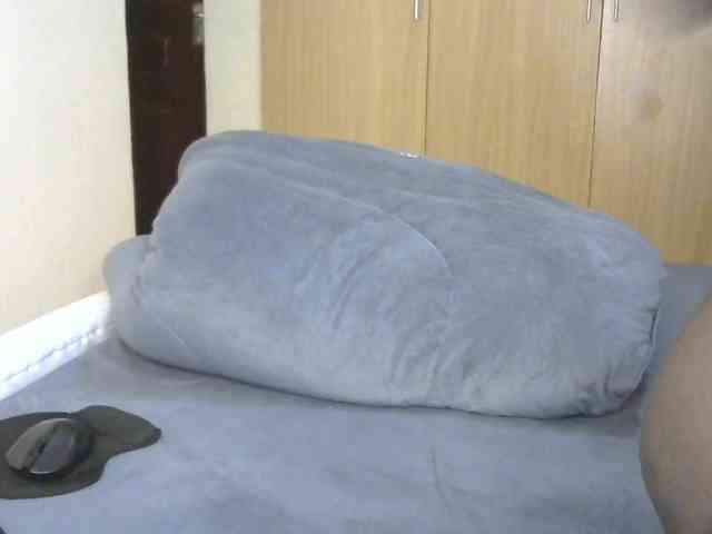BradBubble webcam