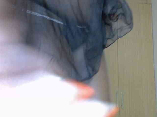 BradBubble webcam