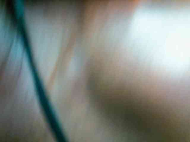 BradBubble webcam