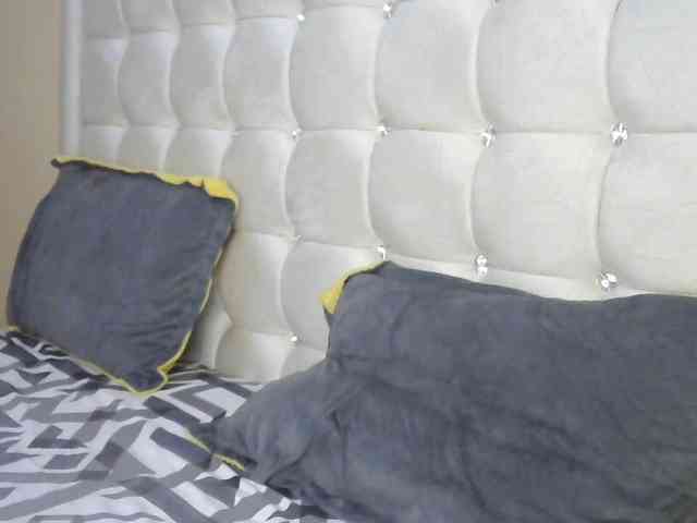 BradBubble webcam