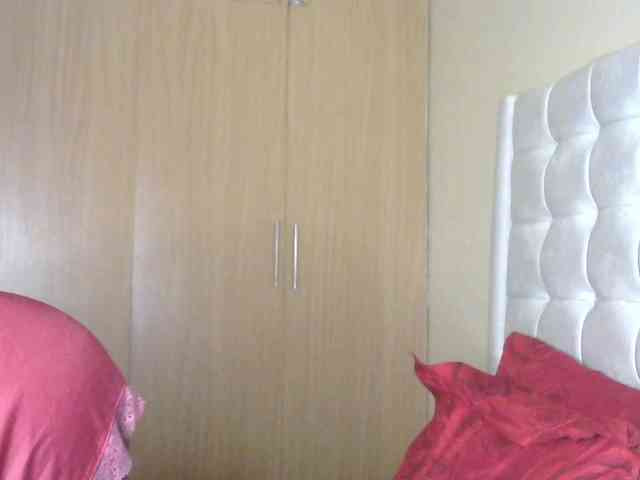 BradBubble webcam