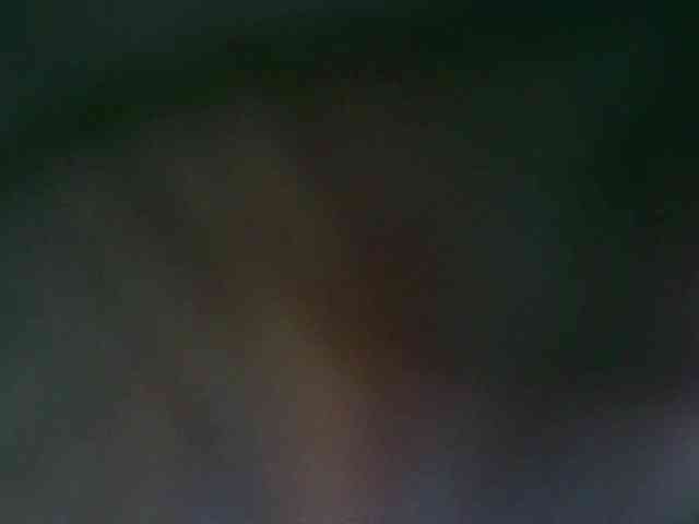 BradBubble webcam