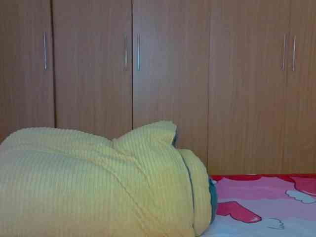 BradBubble webcam