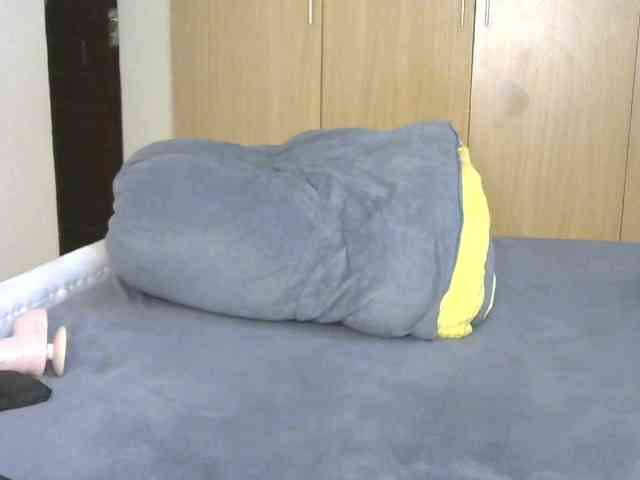BradBubble webcam