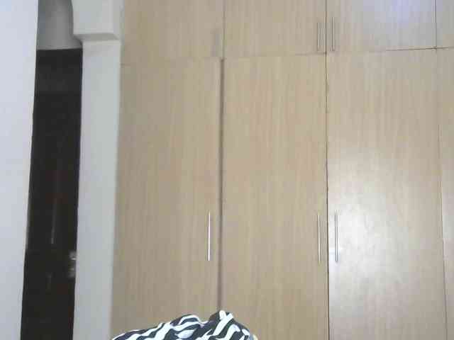 BradBubble webcam