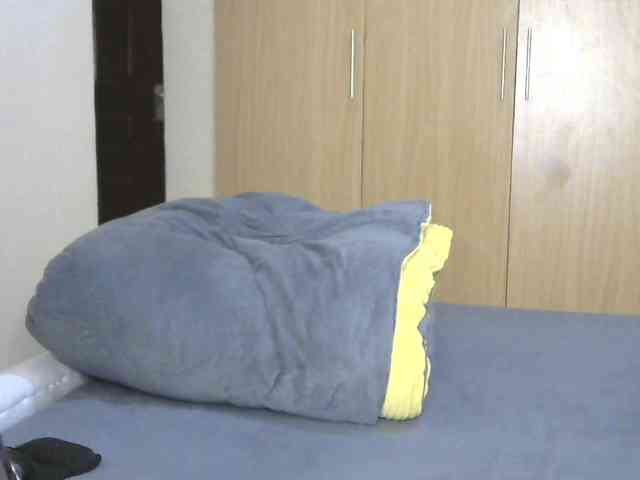 BradBubble webcam