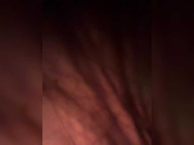 FeeBee
