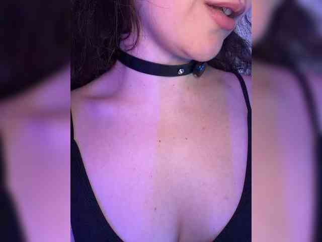 FeeBee webcam