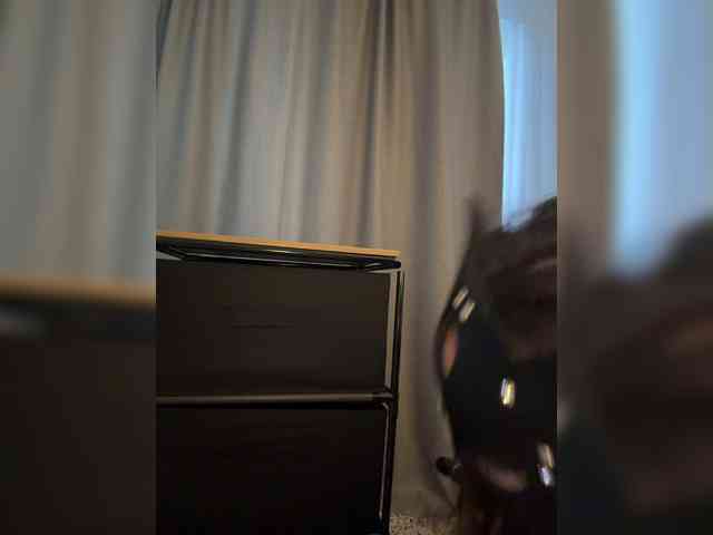 FeeBee webcam