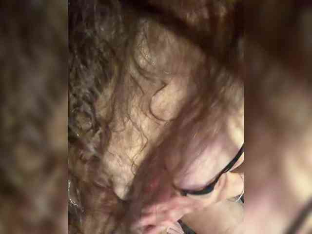 FeeBee webcam