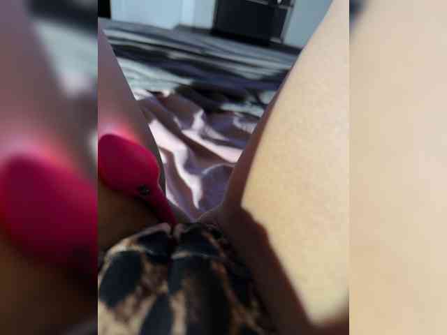 FeeBee webcam