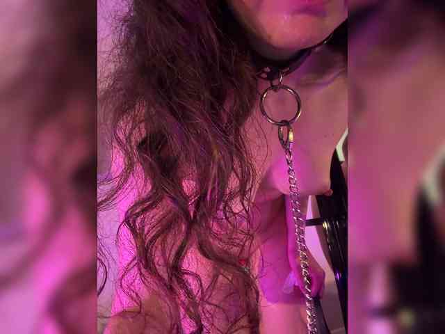 FeeBee webcam