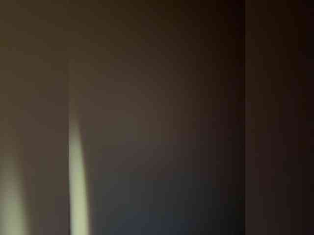 FeeBee webcam