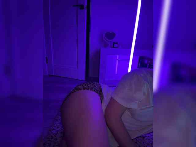 FeeBee webcam