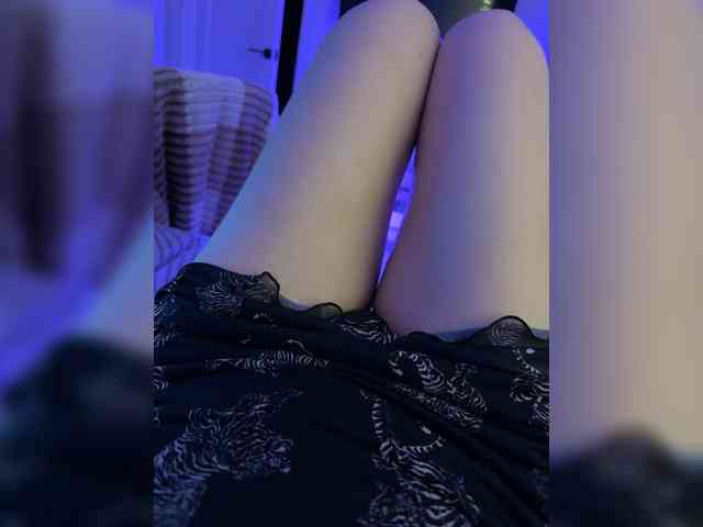 FeeBee webcam