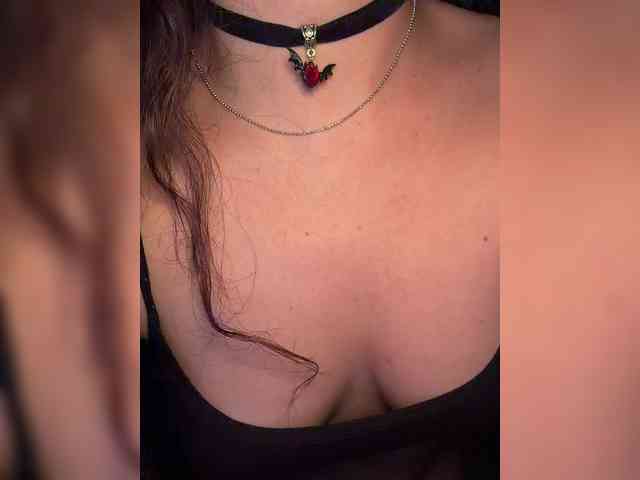 FeeBee webcam