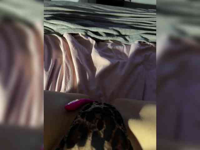 FeeBee webcam