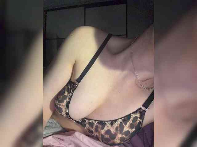 FeeBee webcam