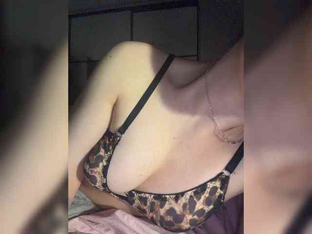 FeeBee webcam