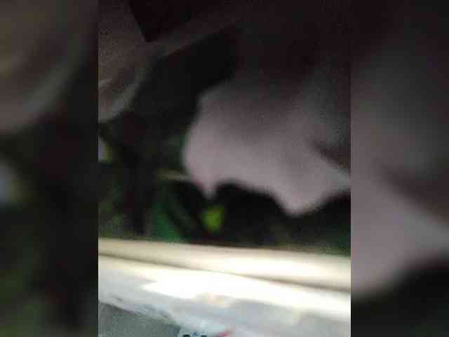 Esmeralda-Depari webcam