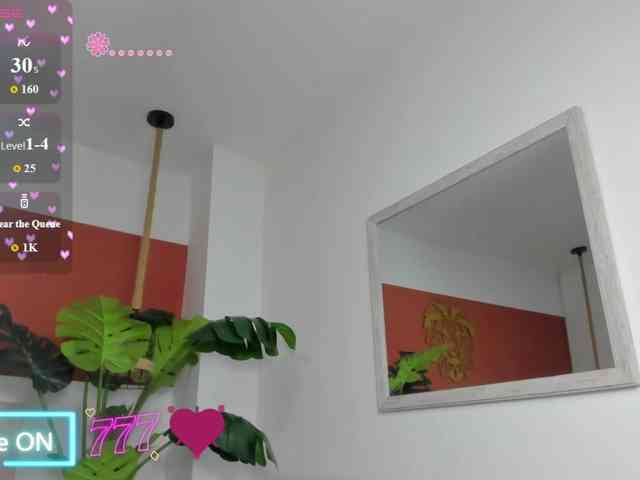 enma-30 webcam