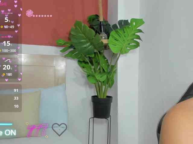 enma-30 webcam