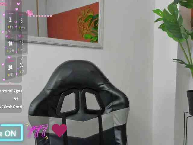 enma-30 webcam