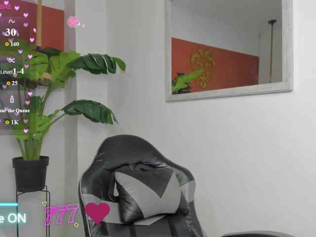 enma-30 webcam
