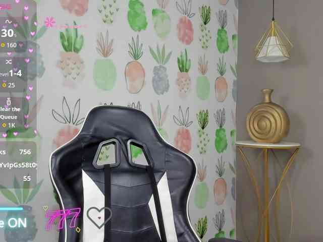 enma-30 webcam