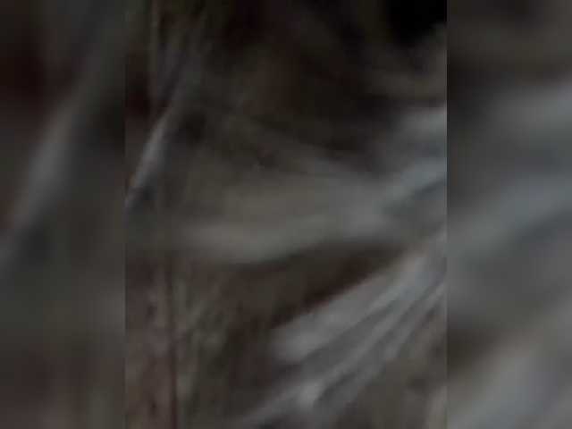 Vika19981 live cam on BongaCams