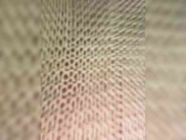 Vika19981 Sex Cam Show