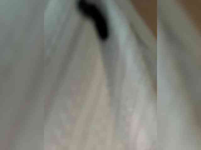 Vika19981 webcam