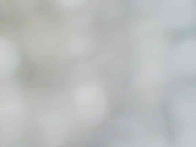 dolldirtyxxx Live Webcam on BongaCams