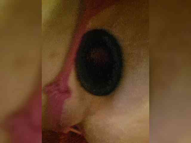 WorldUnited Sex Cam Show