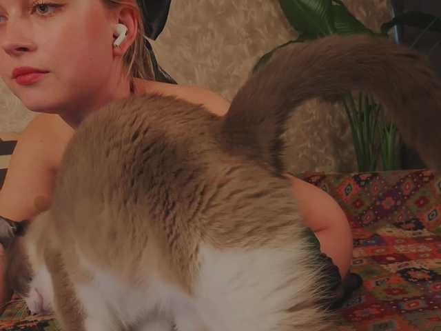 meeeeow live sex